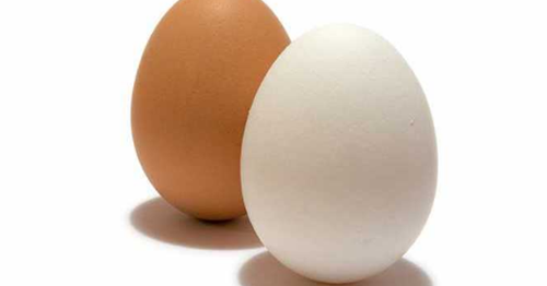 Telur Ayam Togel 2D
, Erek Erek Telur 2d 3d 4d Arti Mimpi Dan Angka Mimpi Telur Erek Erek