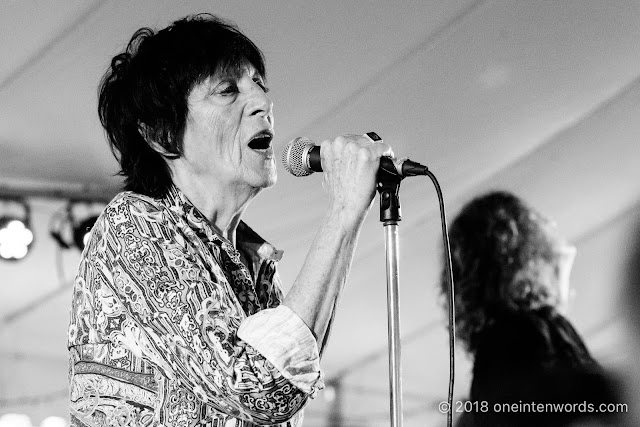 Carole Pope of Rough Trade at Riverfest Elora 2018 at Bissell Park on August 19, 2018 Photo by John Ordean at One In Ten Words oneintenwords.com toronto indie alternative live music blog concert photography pictures photos