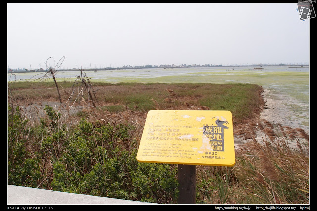 2017-04-01 雲林口湖鄉-海口故事園區+成龍濕地