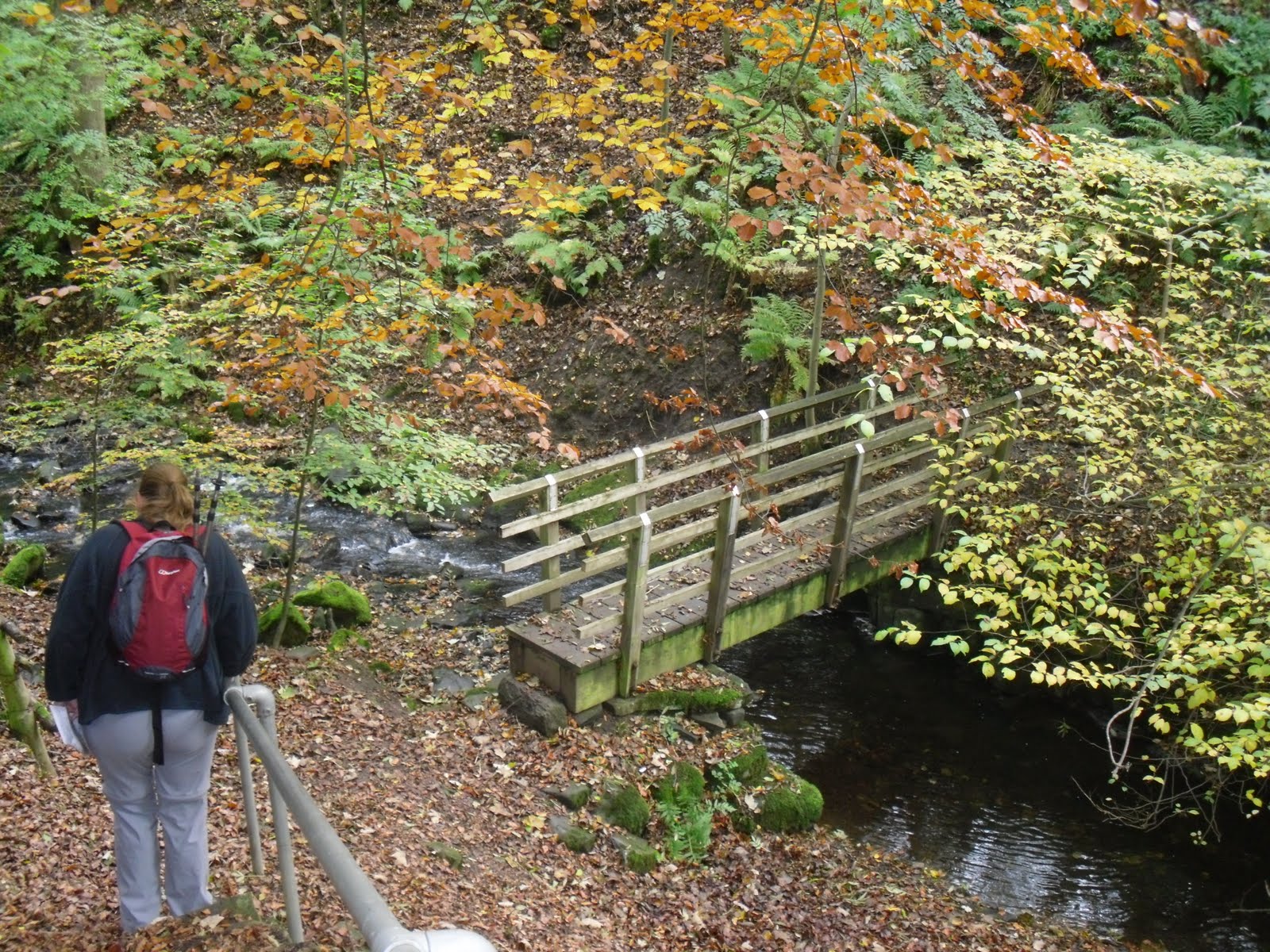 Rambling Nana Stanhope & Wolsingham Park Moor