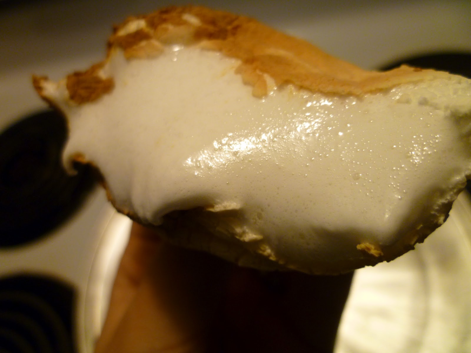 My Food Infatuation Roasted Marshmallows... in the oven!!