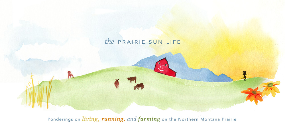 The Prairie Sun Life