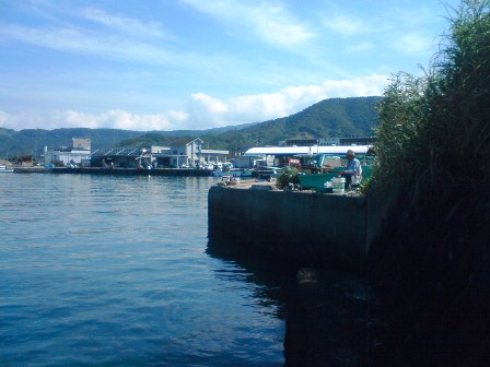 肝臓の脂肪によりウィンダーソン・ヌネスが変態する