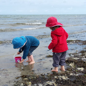 Der Strand von Wendtorf im Naturschutzgebiet Bottsand. Die Kinder sammel gerne Muscheln und Steine am Ufersaum und gehen ins Wasser.