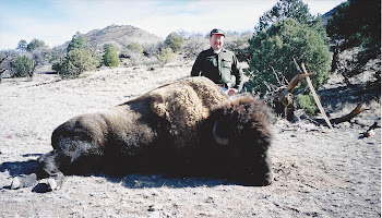 2500+lb. American Bison