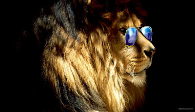 Abstract Lion Wallpaper 4