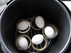 cooker eggs pressure boiled hard pot healthy canning instant recipes easy egg cooked super lids electric cookin cooking water perfect