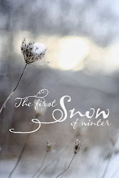 first snow of winter quotes