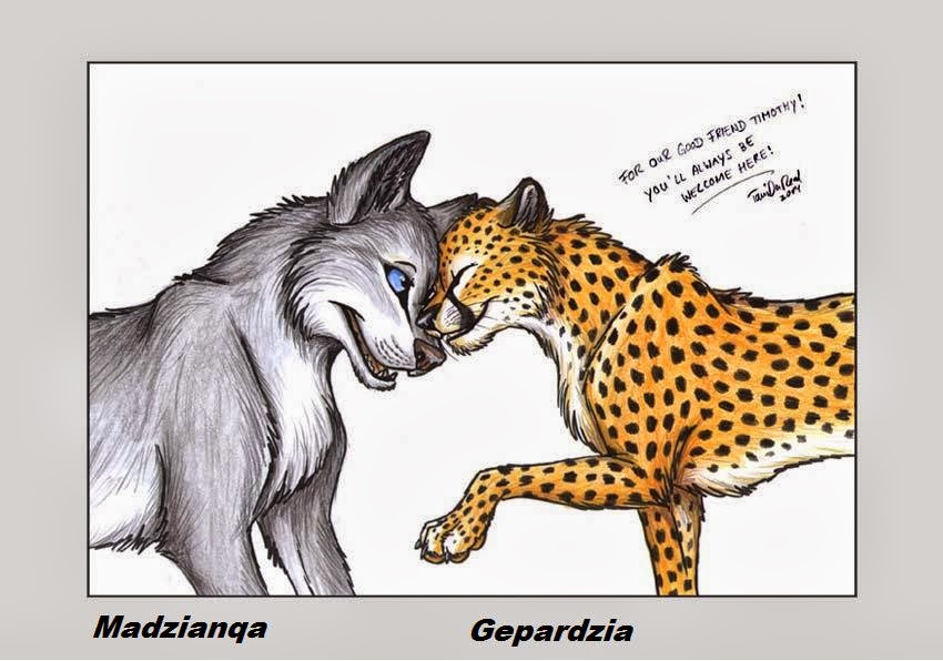 Кого сильнее рысь. Гепард и волк. Гибрид волка и гепарда. Гепард арты. Леопард и волк.