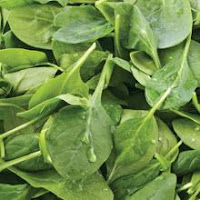 Tasty Caribbean Cooking: Spinach in Coconut Milk