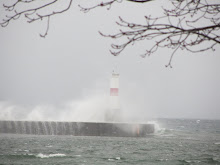 Waves on a windy winter day crash against breakwater in Petoskey, Michigan.