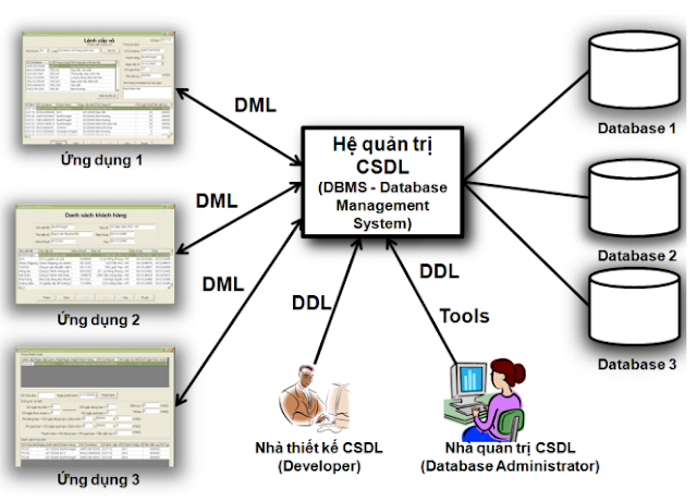Mô hình tương tác của Hệ quản trị cơ sở dữ liệu - tinhoccoban.net