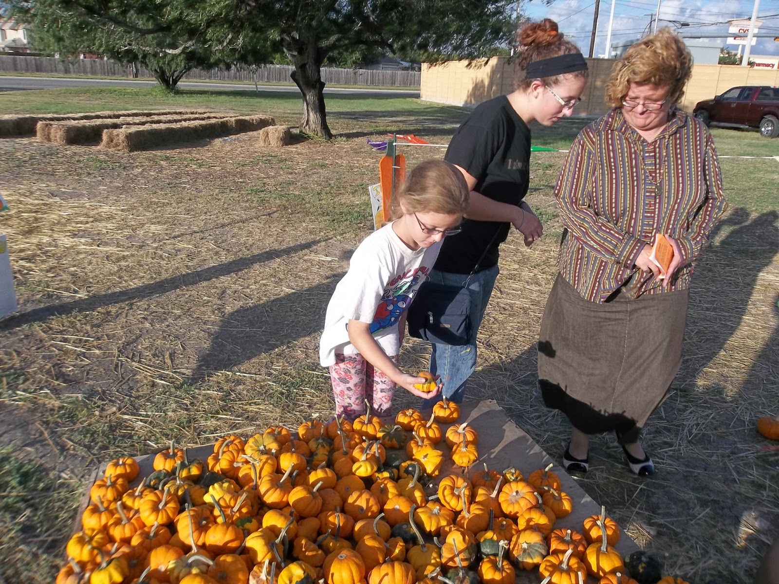 Lone Star Ma Blog Pumpkin Patch