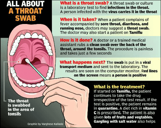 Biology Club: May 2016