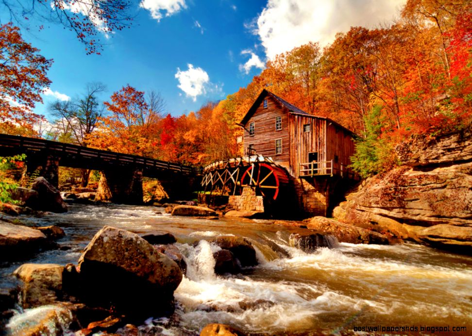 Free Desktop Fall Screensaver Autumn Leaves