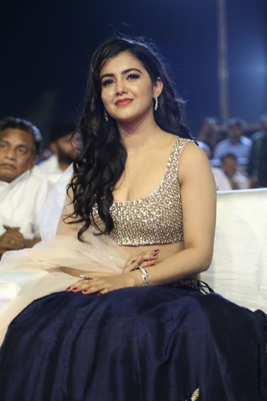 Malvika Sharma at Nela Ticket Audio Release