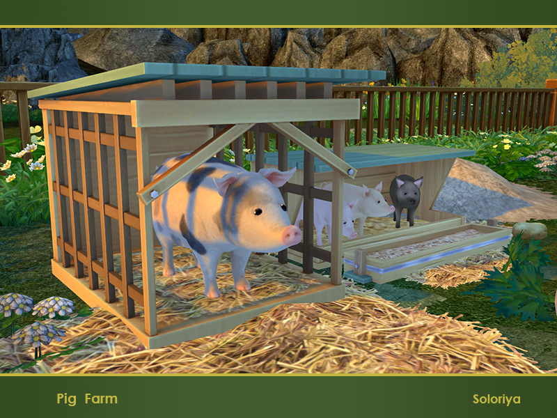 soloriya Pig Farm. Sims 4