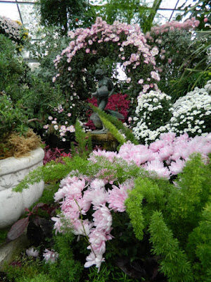 Pastel mums at Allan Gardens Conservatory 2015 Chrysanthemum Show by garden muses-not another Toronto gardening blog