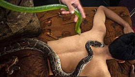 شاهدوا بالصور اغرب أنواع المساج والتدليك في العالم