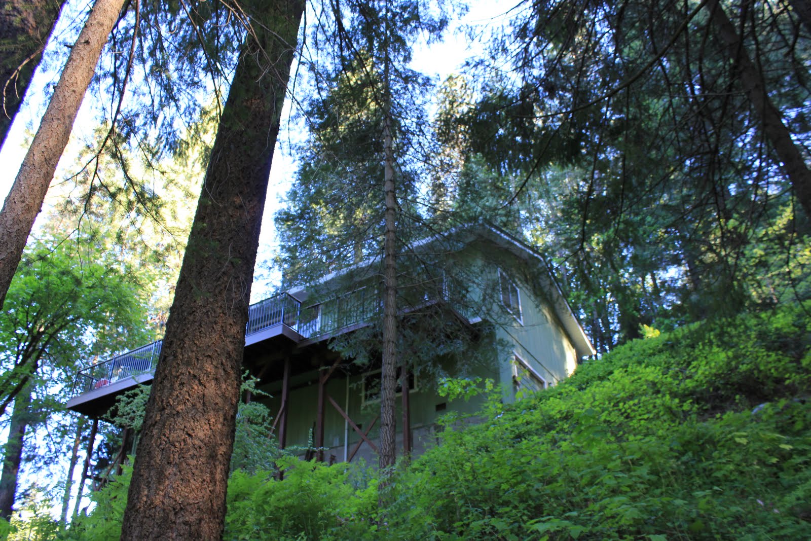 Little House in the Big Woods