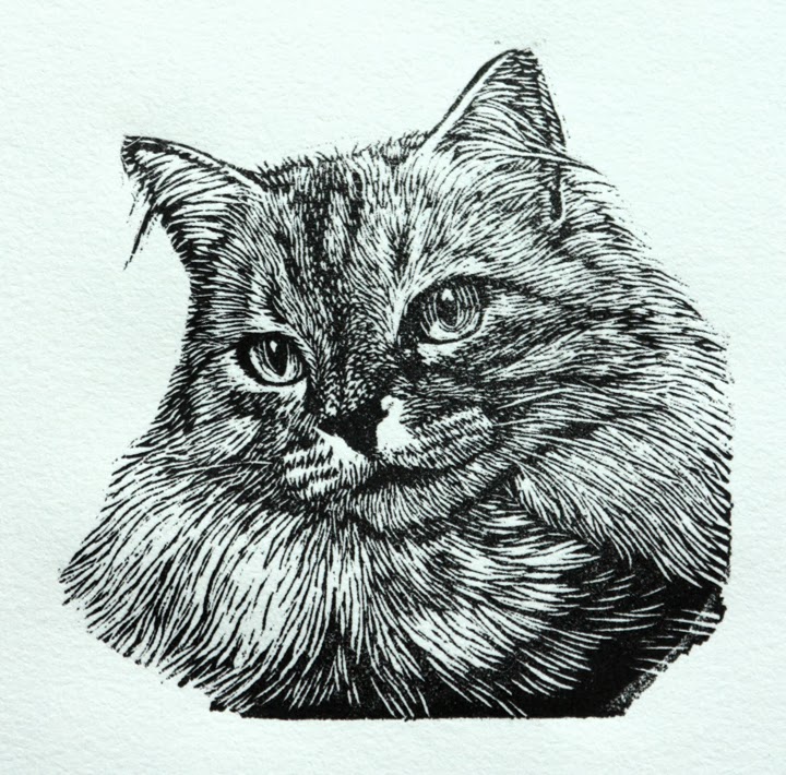 Трафарет для выжигания кошки. Чеширский кот резьба по дереву. Гравировка кот. Кот гравировка. Кошачья морда тату.