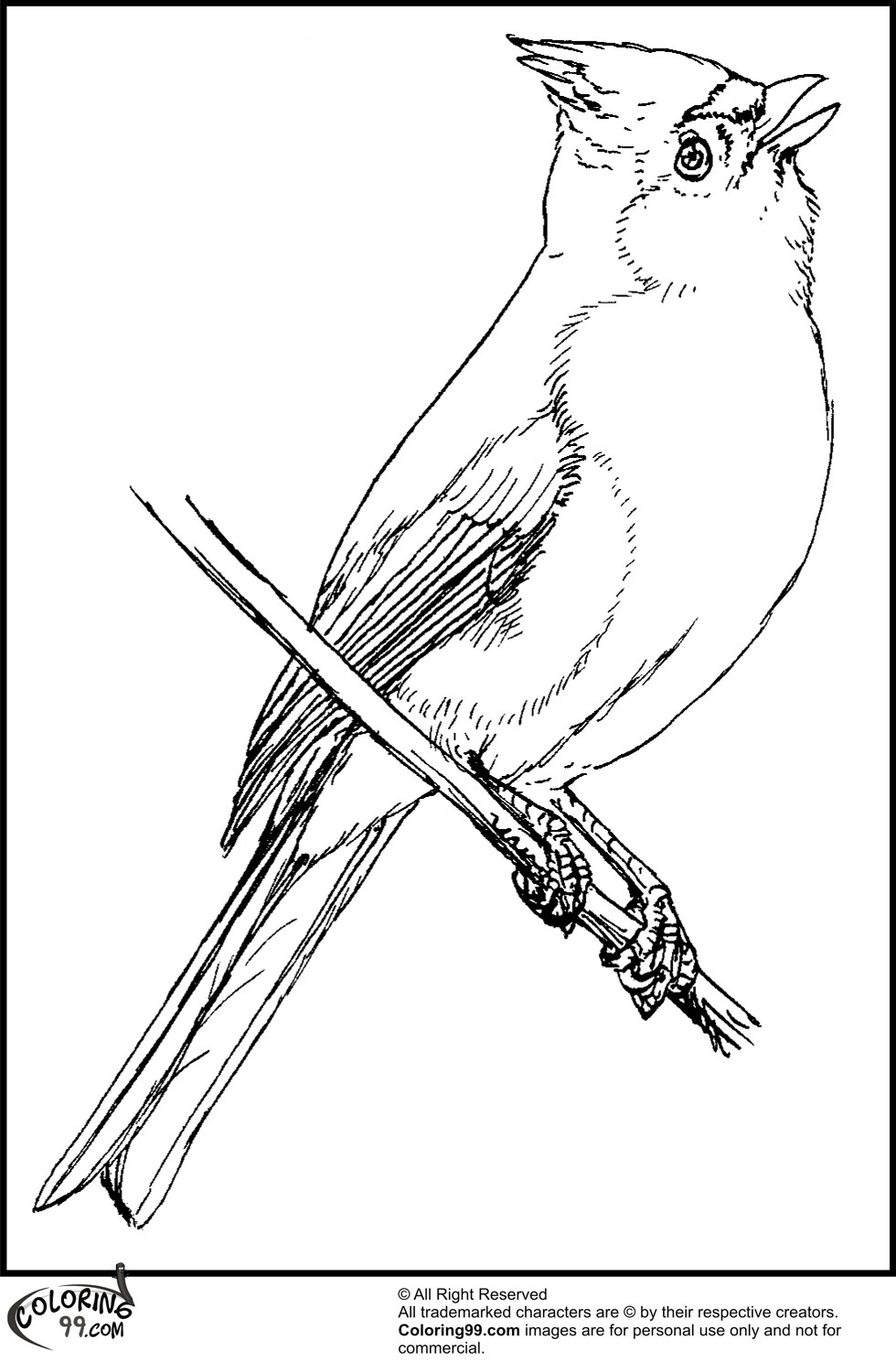 nothern-cardinal-bird-coloring-page-free-printable-coloring-pages