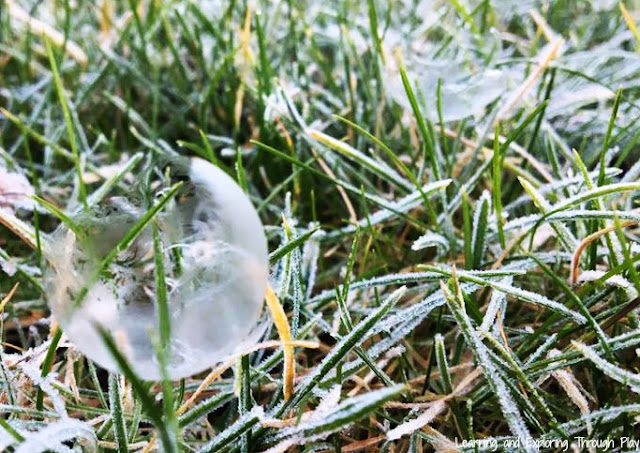 Freezing Bubbles Activities to do in winter with the kids. Winter Activities. 