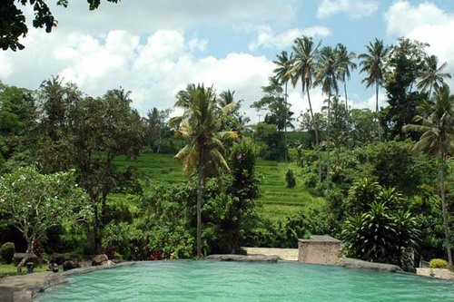 Tempat Wisata Pemandian Air Panas Di Bali: Air Panas ...