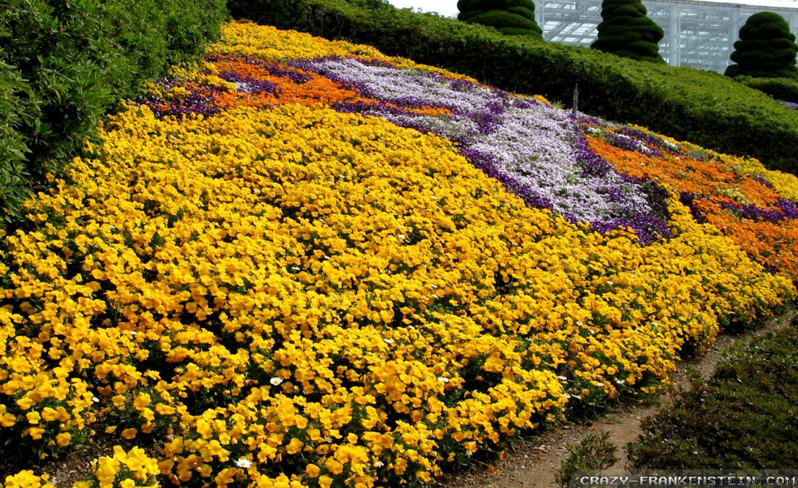 Flower Park