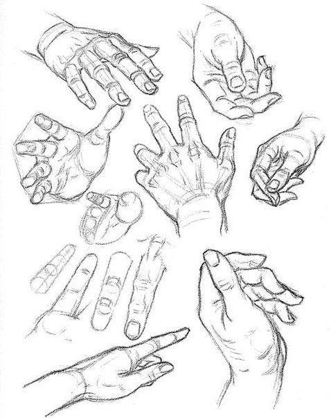 рисунок руки, схема для рисования руки, как рисовать руку в пропорции