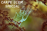 Carpe Diem Special