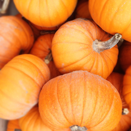 My Favorite Gluten-Free Pumpkin Recipes for Fall