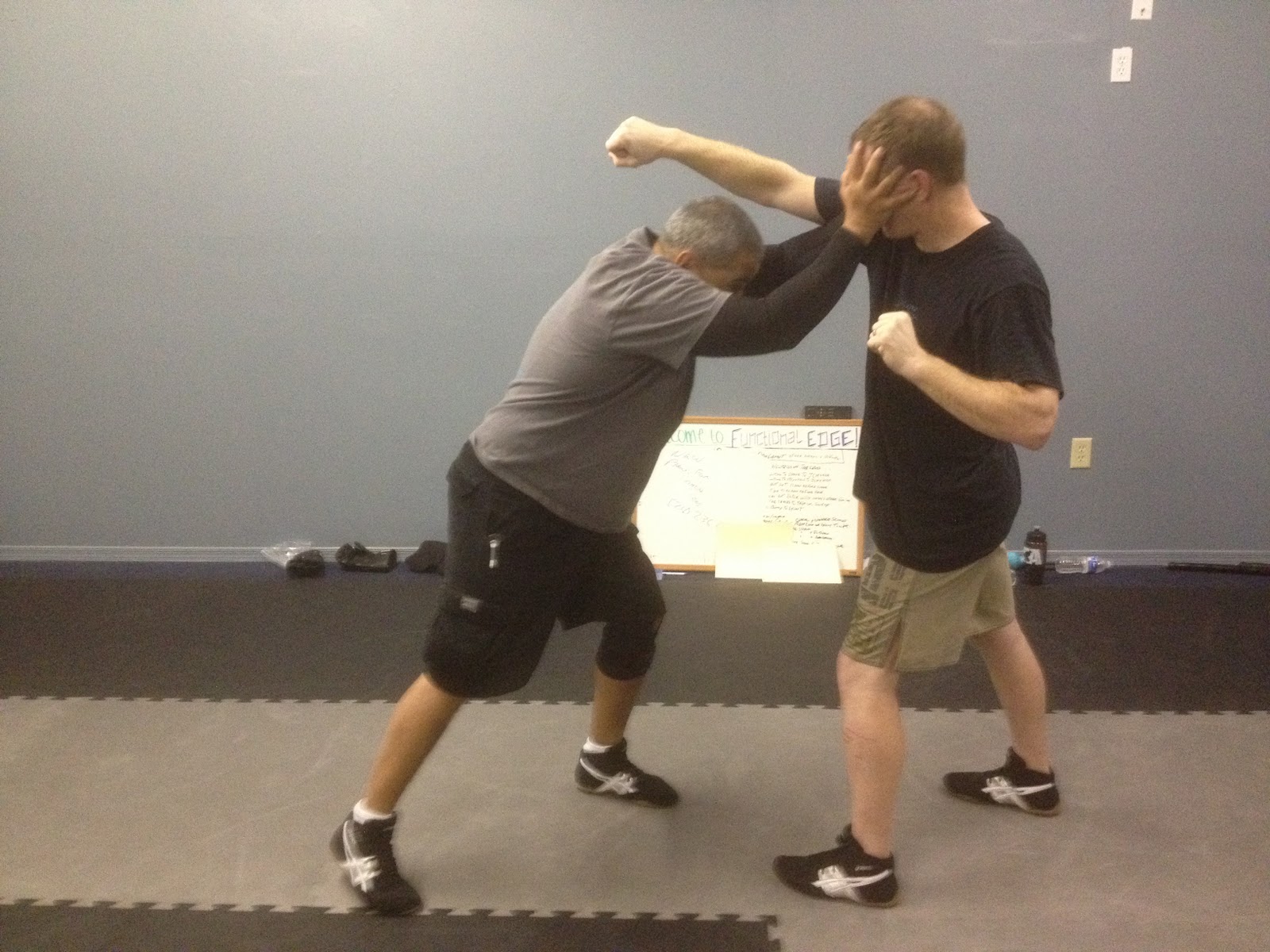 Functional Edge System January 2012