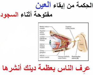 ما هى الفائدة و الحكمة  من ابقاء العين مفتوحة اثناء السجود ؟