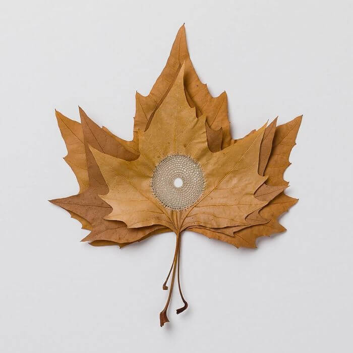 Crocheter Transforms Dried Leaves Into Works Of Art