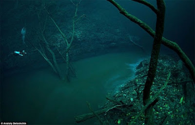 Cảnh đáy sông được chụp qua cái rọ bằng con Xperia Z1 và upload bằng wifi ở dưới âm phủ