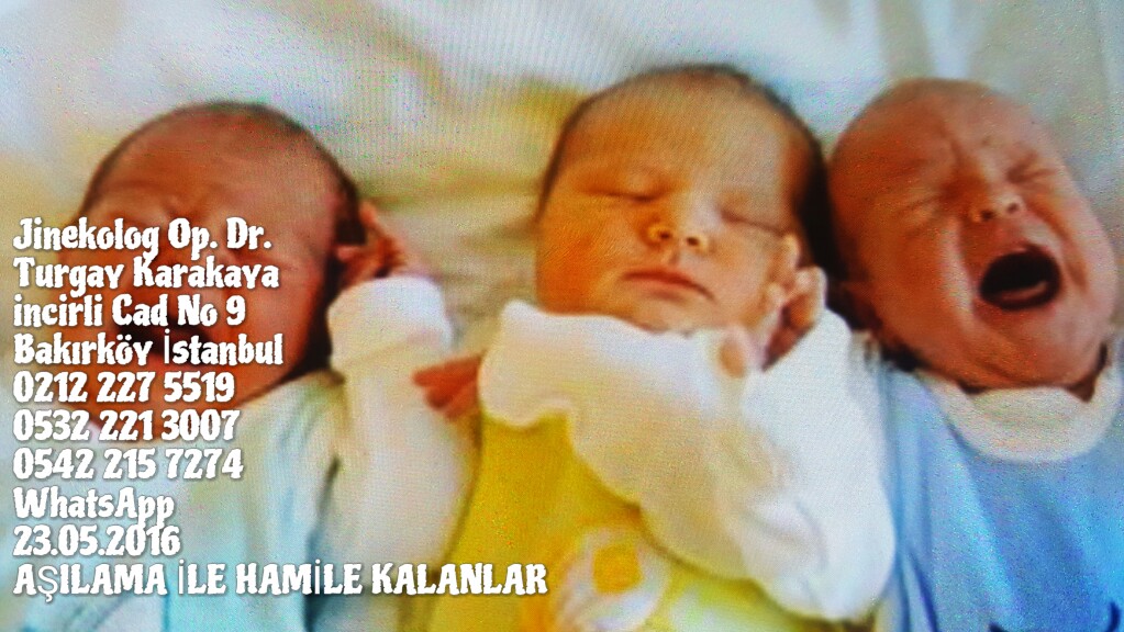 Aşılama Fiyatları Aşılama ile hamile kalanlar Aşılama Fiyatları Aşılama ile hamile kalanlar