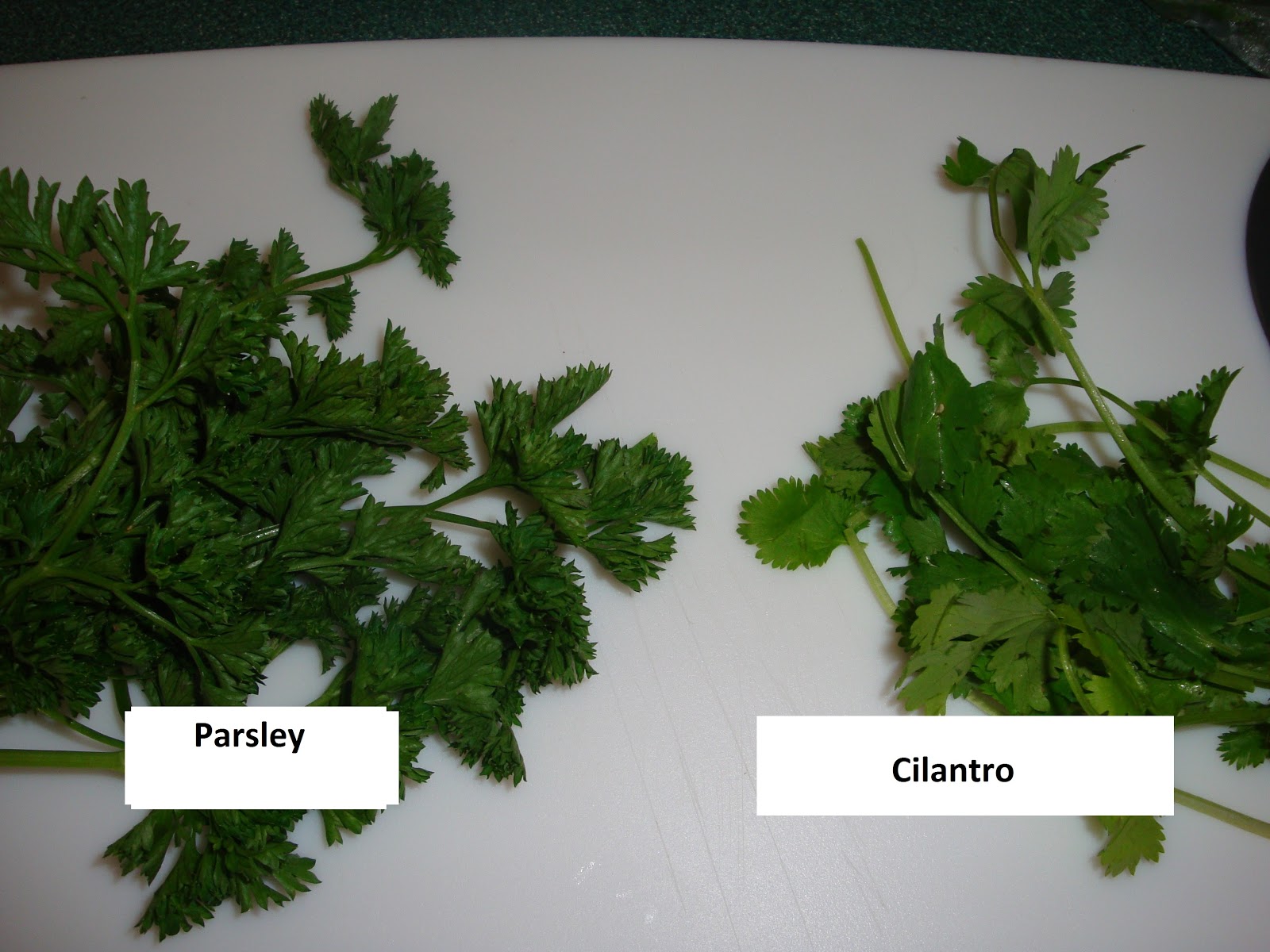 foodreactionqueen October 2012