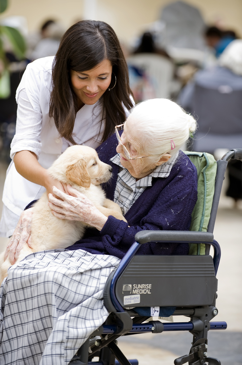 El Universo Canino Metropolis Canina El Mundo De Los Perros Como El Universo Canino Metropolis Canina El Mundo De Los Perros Como