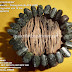 Gelang batu BLACK JADE ACEH cutitng kotak 14 by: IMDA Handicraft Kerajinan Khas Desa TUTUL Jember