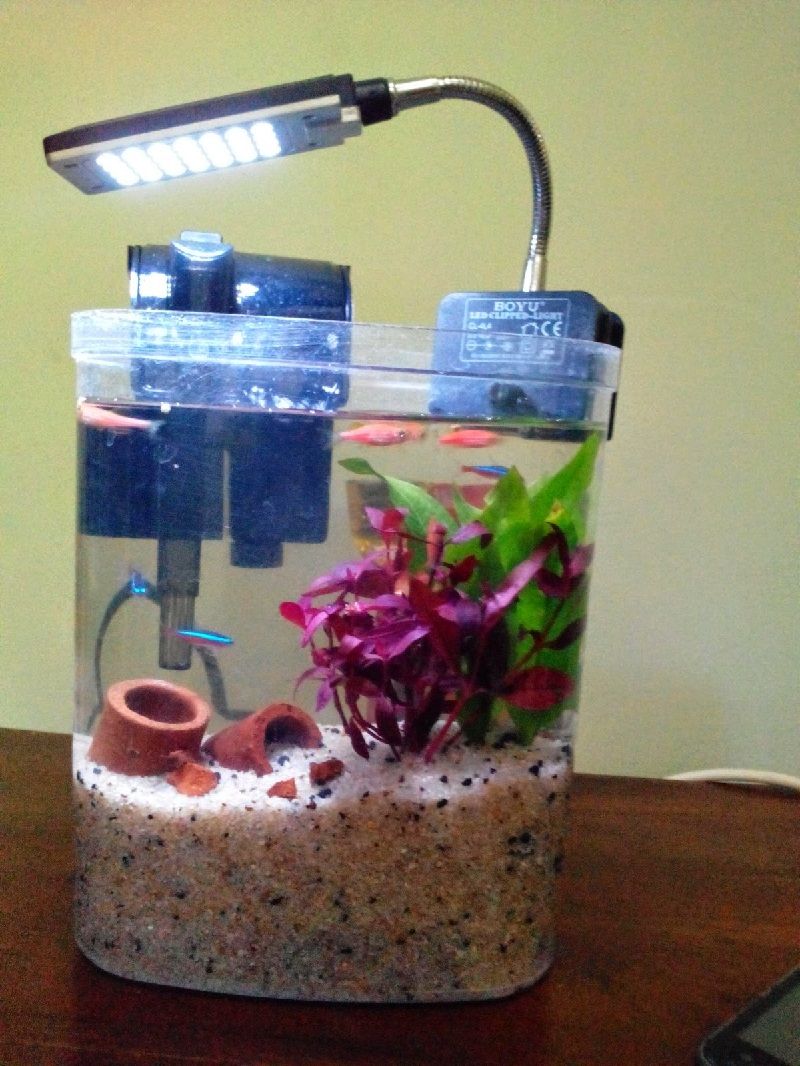 aquascape kecil gambar hiasan akuarium kecil yang unik dan cantik sekarang ini aquascape kecil gambar hiasan akuarium kecil yang unik dan cantik sekarang ini