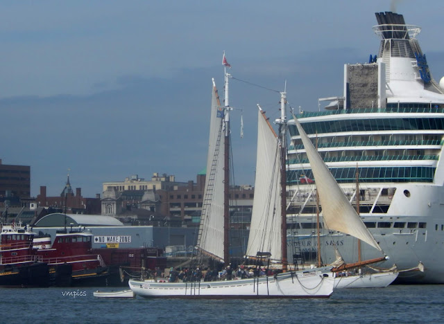 Sail Away in Different Ways – Maine Experiences! All about the different ways to explore #Maine #USA on water. #Canoe, #Kayak, #Schooner and more.