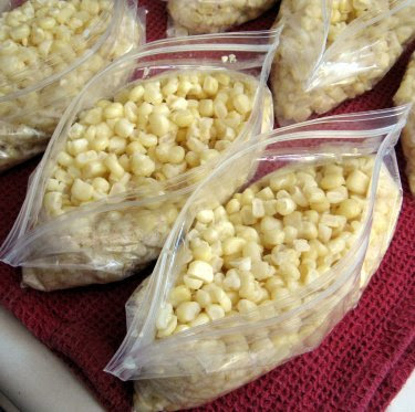fresh corn blanched and ready to freeze
