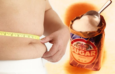 el azucar provoca obesidad