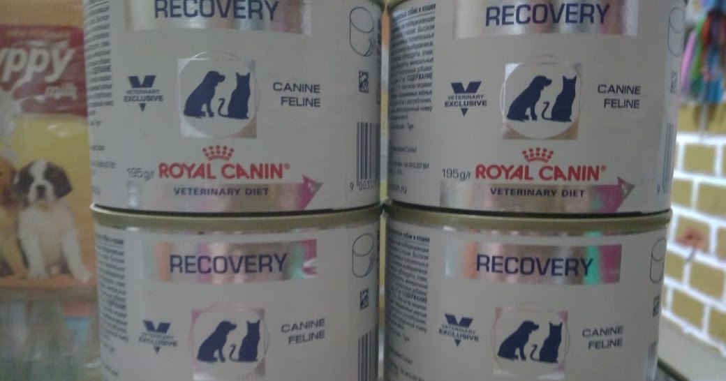 Royal canin
