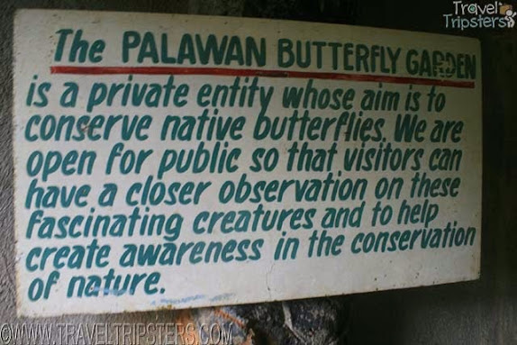 palawan butterfly garden
