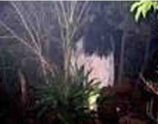 Pagar Gaib Ilmu Putih Energi Metafisika