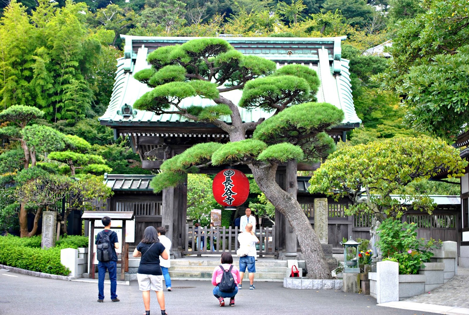 Actualite Du Monde Vegetal Japonais Passionnes D Hydrangeas