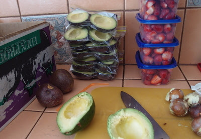 eight acres: how to freeze avocado