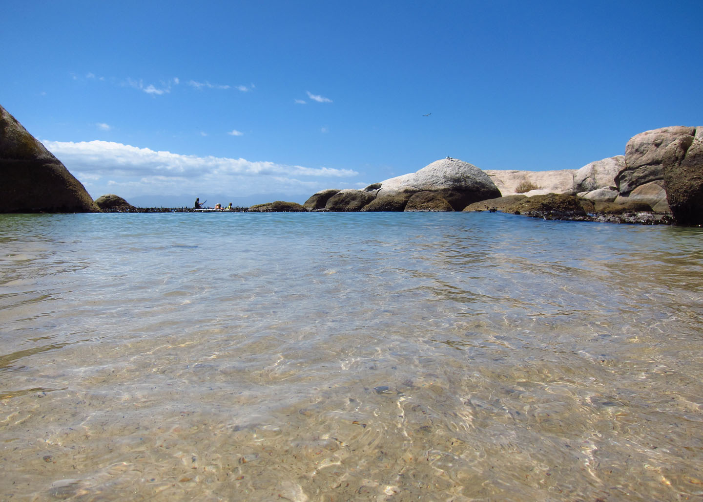 66 Square Feet (Plus): Boulders Beach, Cape Town